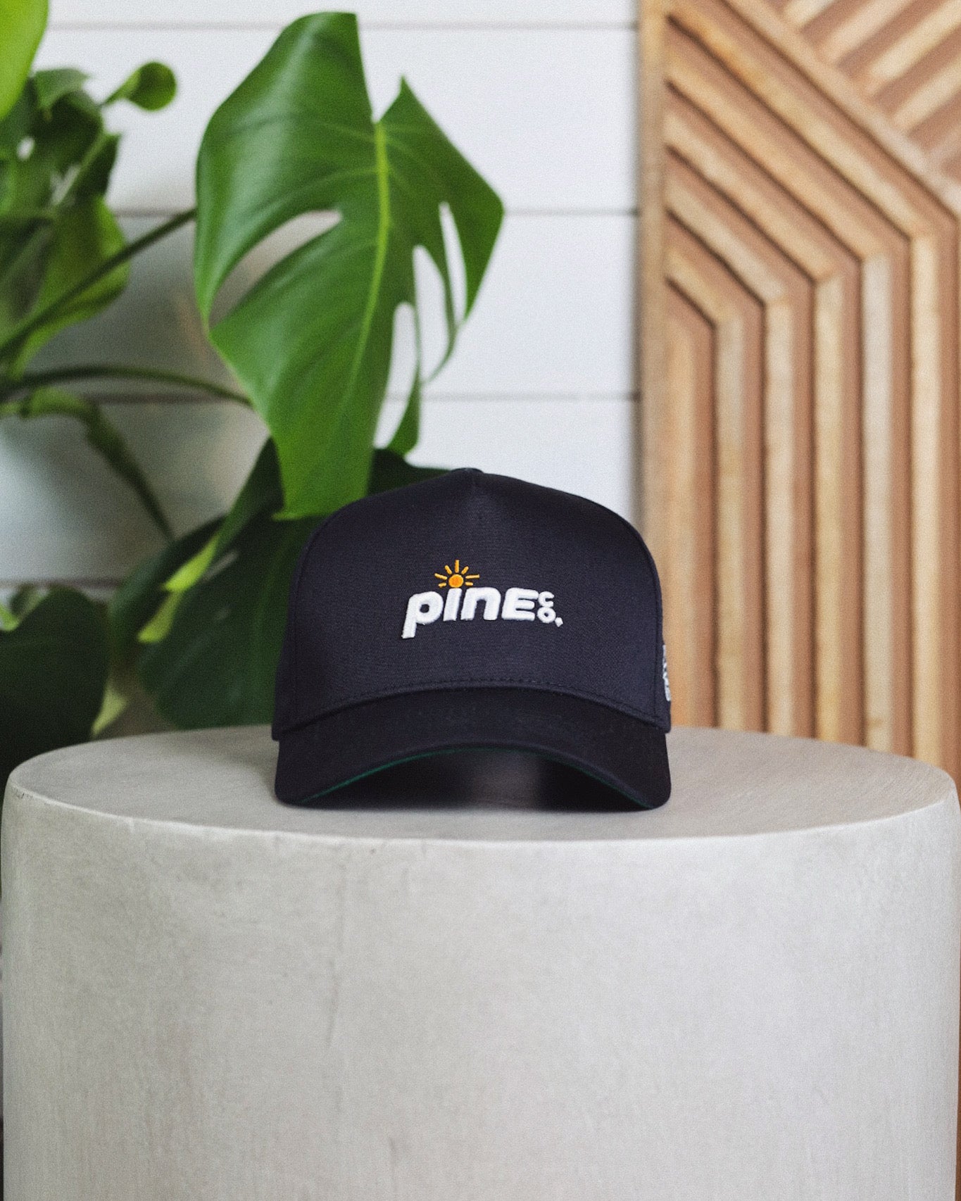 Pine Co. Staple — Black